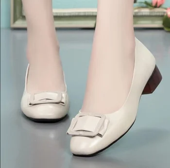 2022 noi Femeile Cool din Piele Pu Rotund Toe Bej cu Toc Înalt Pantofi Lady Confortul Clasic Pompe de Vară Sapato